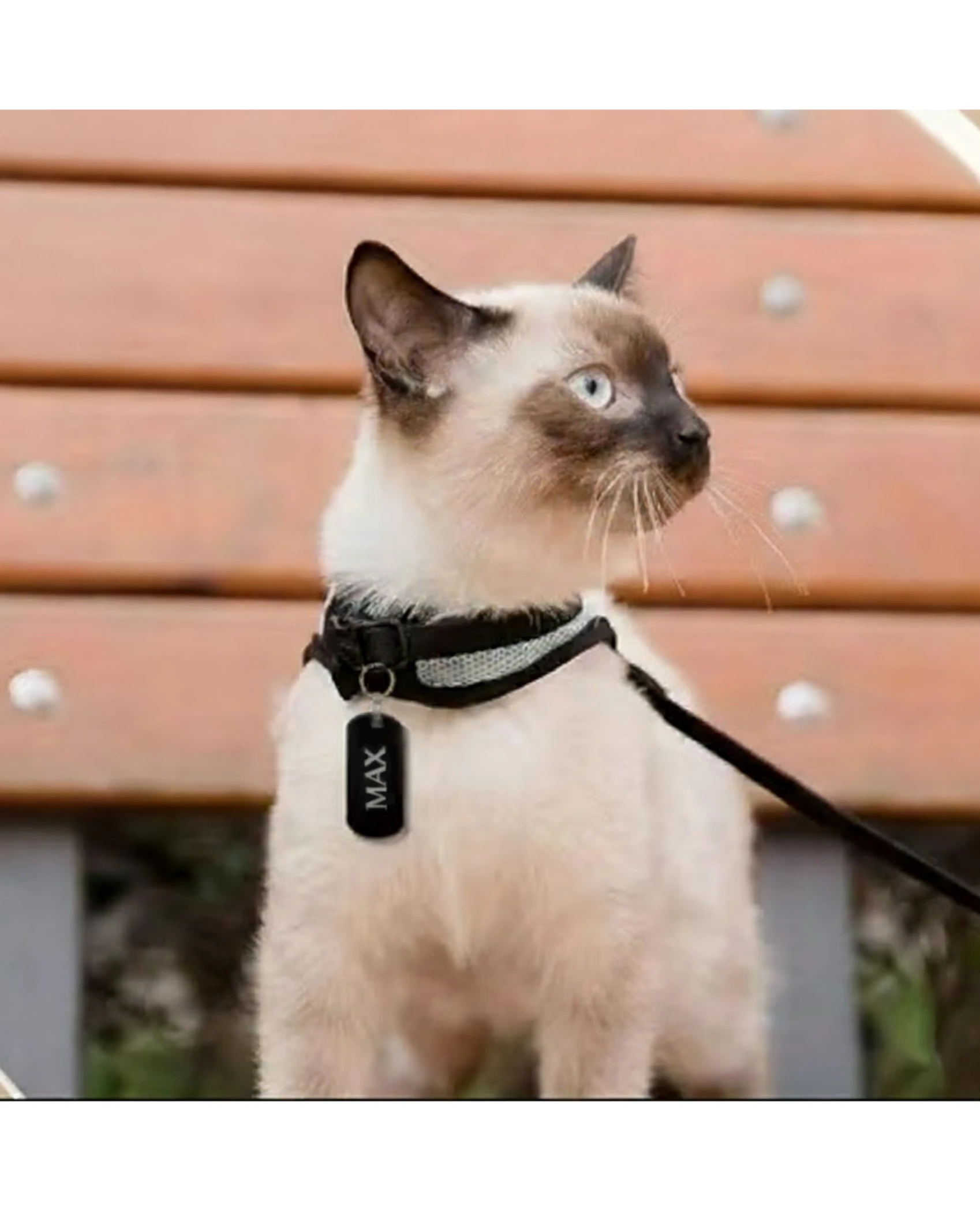 Adresówka dla Psa i Kota – Grawerowany Medalion z Imieniem i Rasą (Wiele Wzorów) - zdjęcie 2 - grawerowanie laserowe