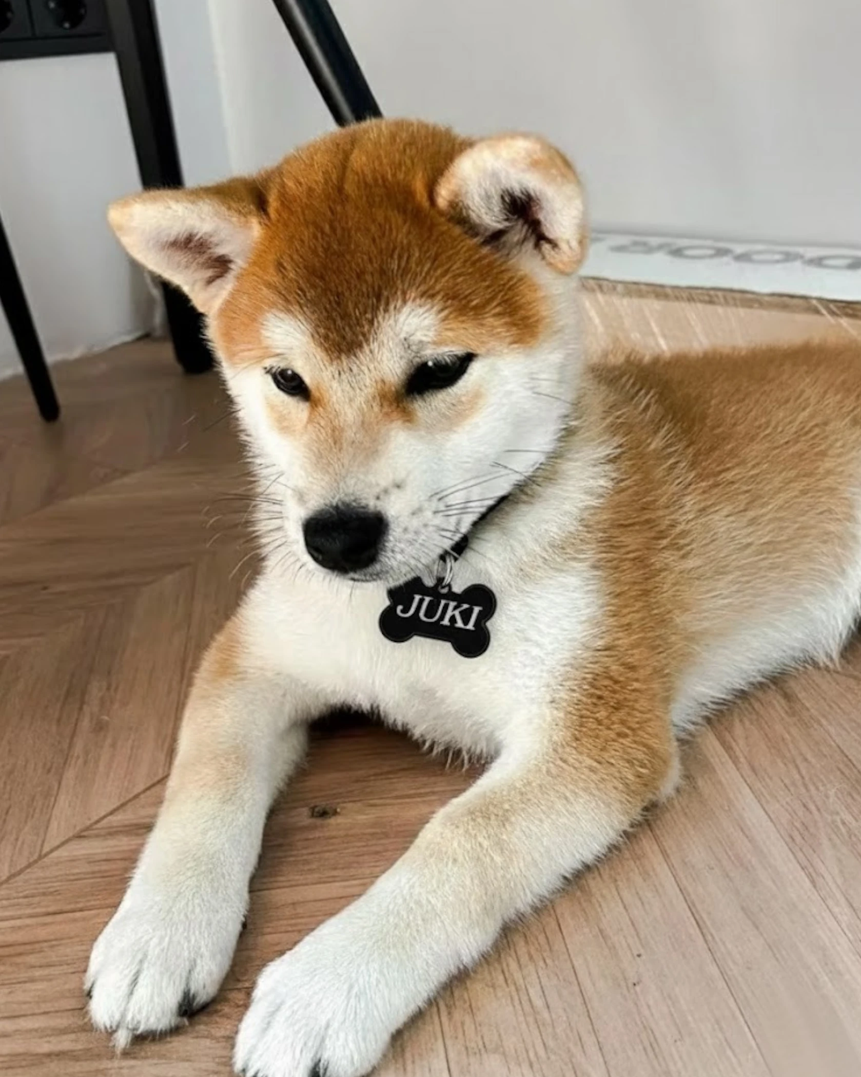 Czarna Adresówka Kostka - Identyfikator - zdjęcie 4 - grawerowanie laserowe